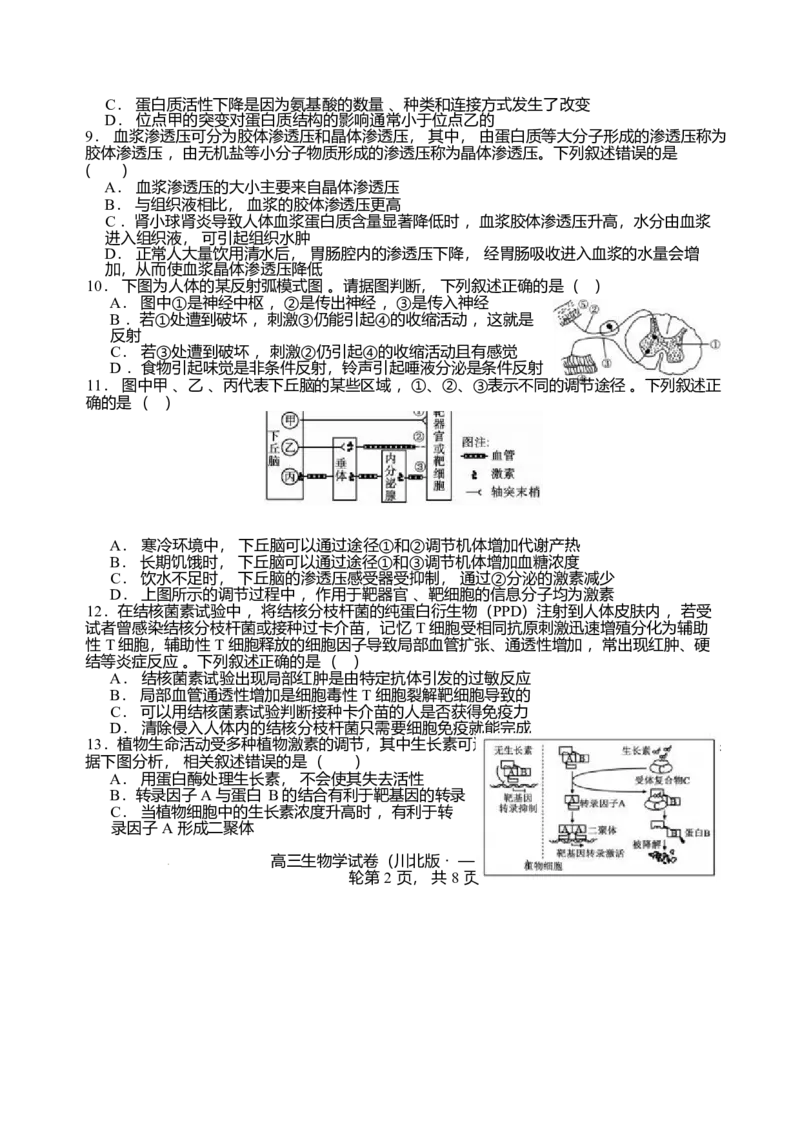 2026届四川省字节精准教育联盟高三上学期1月一模生物试题(1)_2026年1月_260112四川省字节精准教育联盟2026届高三上学期1月第二阶段学情调研测试（全科）