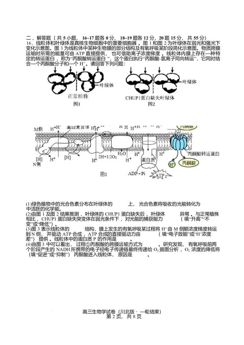 2026届四川省字节精准教育联盟高三上学期1月一模生物试题(1)_2026年1月_260112四川省字节精准教育联盟2026届高三上学期1月第二阶段学情调研测试（全科）