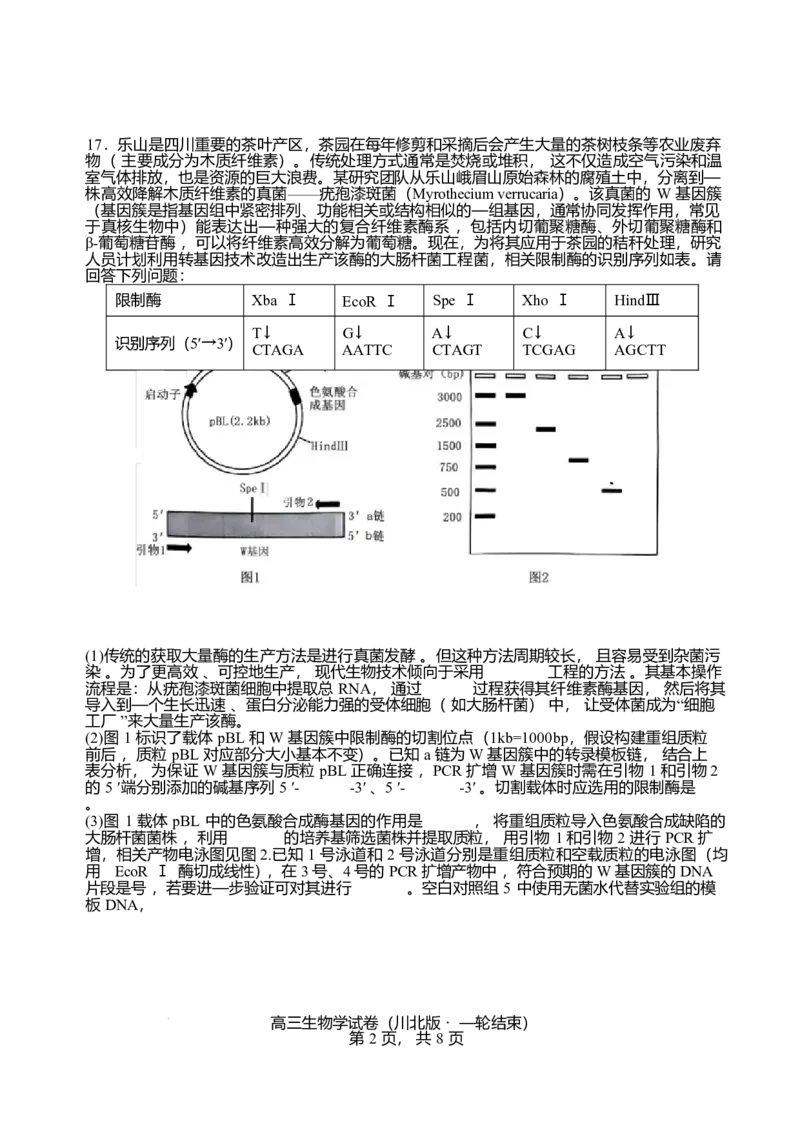 2026届四川省字节精准教育联盟高三上学期1月一模生物试题(1)_2026年1月_260112四川省字节精准教育联盟2026届高三上学期1月第二阶段学情调研测试（全科）