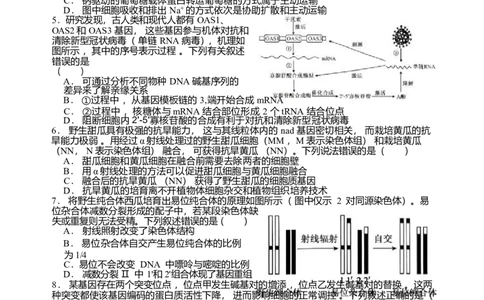 2026届四川省字节精准教育联盟高三上学期1月一模生物试题(1)_2026年1月_260112四川省字节精准教育联盟2026届高三上学期1月第二阶段学情调研测试（全科）