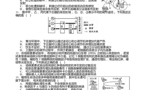 2026届四川省字节精准教育联盟高三上学期1月一模生物试题(1)_2026年1月_260112四川省字节精准教育联盟2026届高三上学期1月第二阶段学情调研测试（全科）