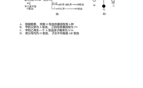 2026届四川省字节精准教育联盟高三上学期1月一模生物试题(1)_2026年1月_260112四川省字节精准教育联盟2026届高三上学期1月第二阶段学情调研测试（全科）