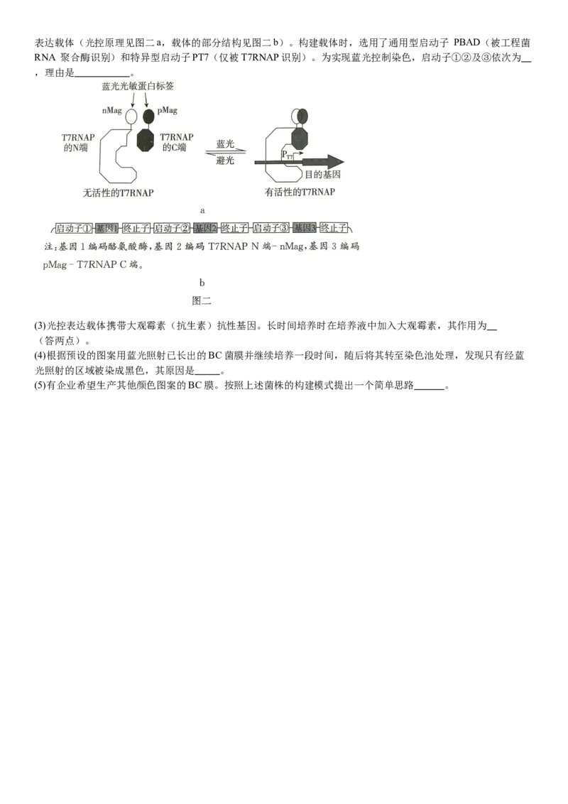 广东生物-试题-p_近10年高考真题汇编（必刷）_2024年高考真题_高考真题（截止6.29）_其他地方卷（目前搜集不完整）_广东卷（物、生、地）