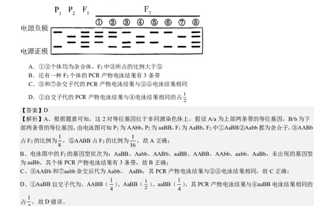 新课标生物-答案-p_近10年高考真题汇编（必刷）_2024年高考真题_高考真题（截止6.29）_新课标卷副科（云南,河南,新疆,山西）（6科全）