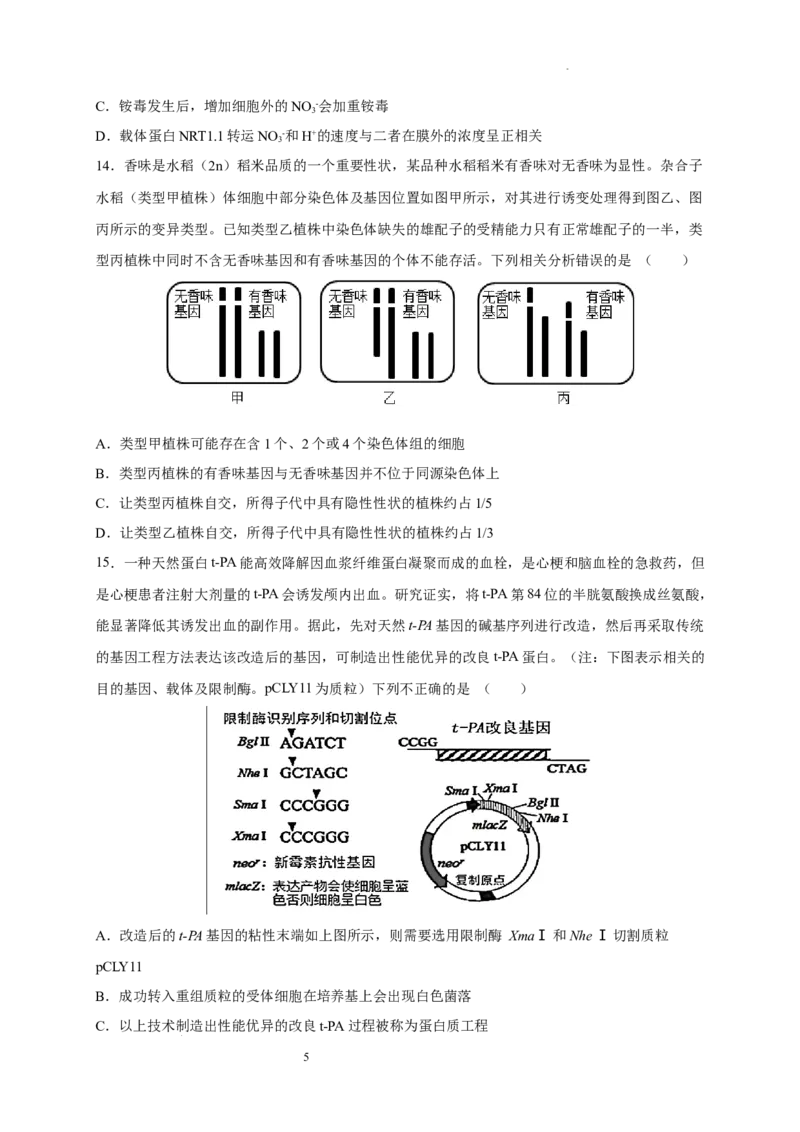 2023-2024学年第一学期10月联考高&nbsp;三&nbsp;年级生物试题(1)_2023年10月_0210月合集