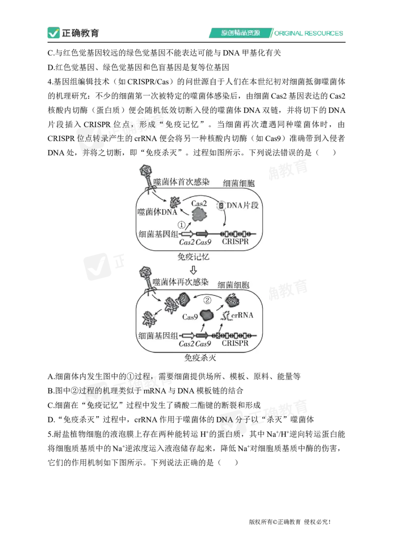 四月生物每周好题精选（第1周）_2024高考押题卷_152024其他平台全系列_资料2024版（名校︱机构）备考押题资料_（冲刺高考）正确云&middot;四月每周好题精选（第1周）