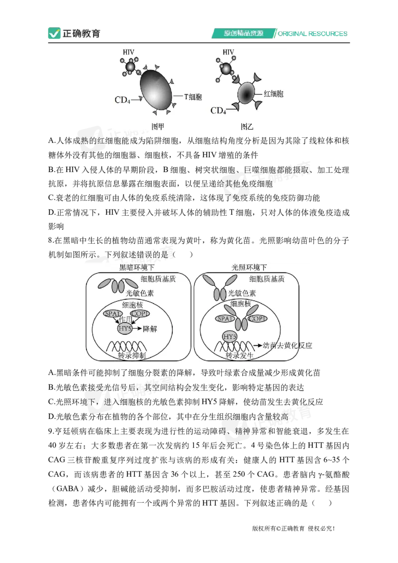 四月生物每周好题精选（第1周）_2024高考押题卷_152024其他平台全系列_资料2024版（名校︱机构）备考押题资料_（冲刺高考）正确云&middot;四月每周好题精选（第1周）