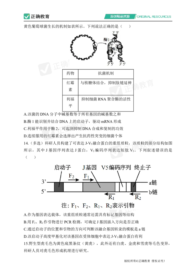 四月生物每周好题精选（第1周）_2024高考押题卷_152024其他平台全系列_资料2024版（名校︱机构）备考押题资料_（冲刺高考）正确云&middot;四月每周好题精选（第1周）