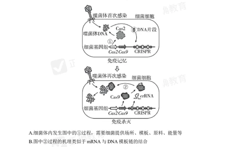 四月生物每周好题精选（第1周）_2024高考押题卷_152024其他平台全系列_资料2024版（名校︱机构）备考押题资料_（冲刺高考）正确云&middot;四月每周好题精选（第1周）