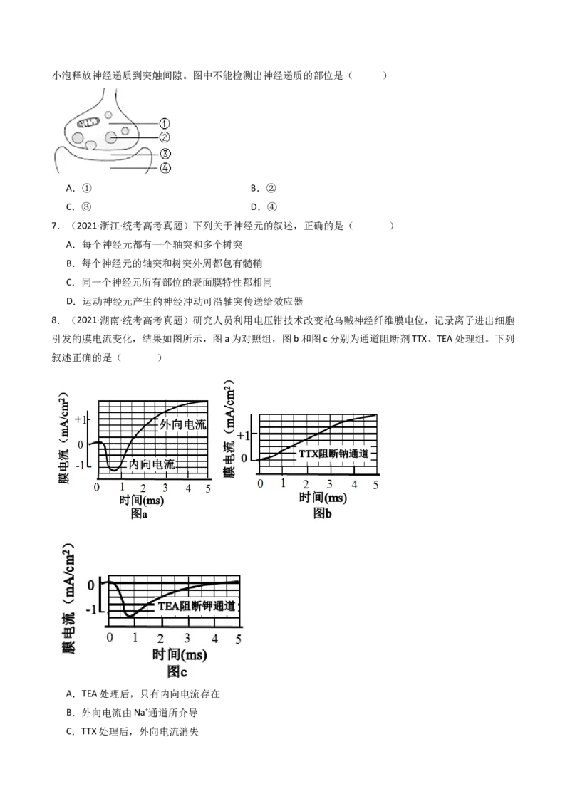 专题17神经调节（原卷卷）_近10年高考真题汇编（必刷）_十年（2014-2024）高考生物真题分项汇编（全国通用）_十年（2014-2023）高考生物真题分项汇编（全国通用）