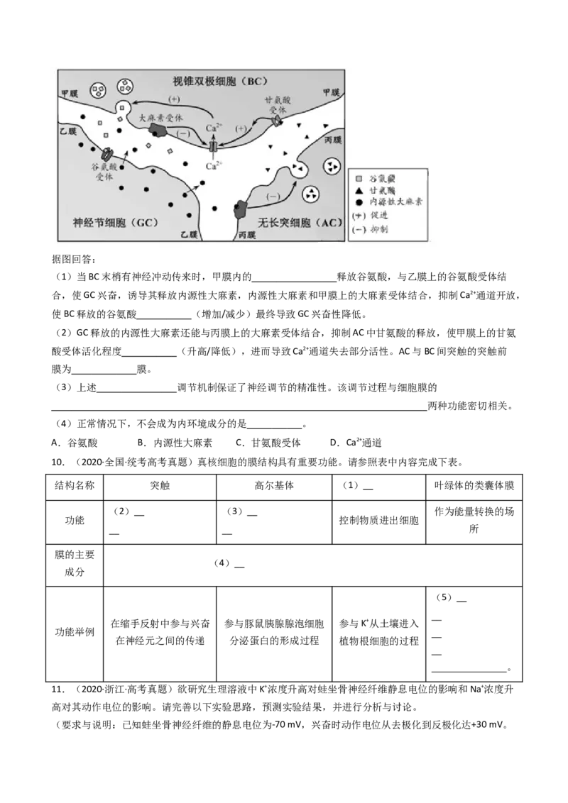 专题17神经调节（原卷卷）_近10年高考真题汇编（必刷）_十年（2014-2024）高考生物真题分项汇编（全国通用）_十年（2014-2023）高考生物真题分项汇编（全国通用）