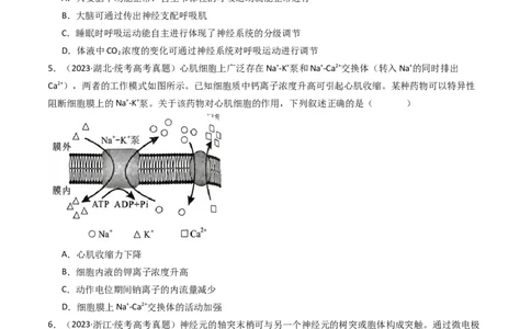 专题17神经调节（原卷卷）_近10年高考真题汇编（必刷）_十年（2014-2024）高考生物真题分项汇编（全国通用）_十年（2014-2023）高考生物真题分项汇编（全国通用）