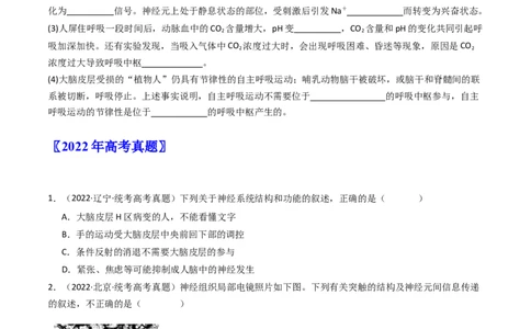 专题17神经调节（原卷卷）_近10年高考真题汇编（必刷）_十年（2014-2024）高考生物真题分项汇编（全国通用）_十年（2014-2023）高考生物真题分项汇编（全国通用）