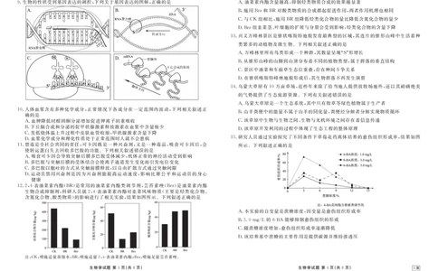 陕晋青宁衡水金卷2026届高三上学期12月阶段性自测生物(1)_2026年1月_260104陕晋青宁衡水金卷2026届高三上学期12月阶段性自测（全科）