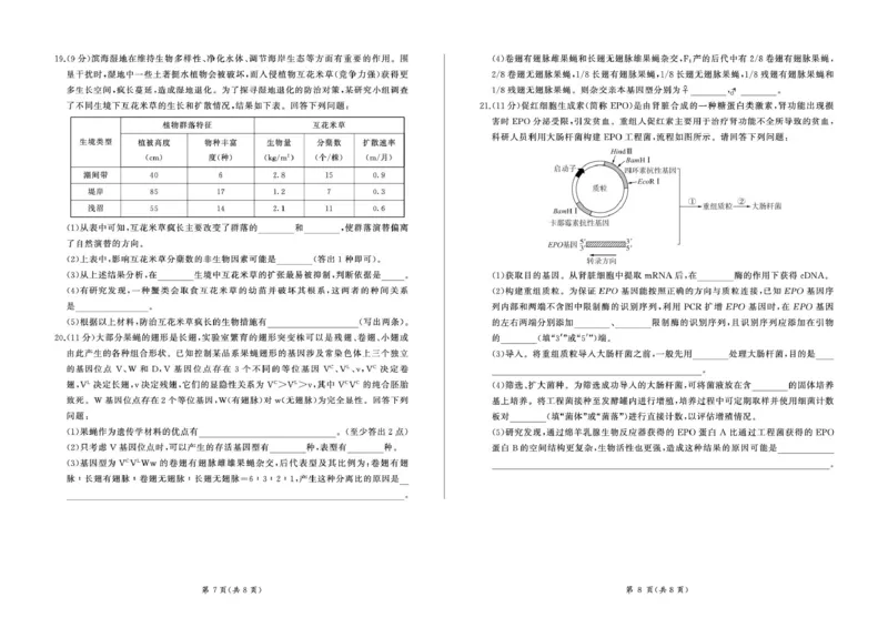 2025年甘肃省酒泉市高三上学期期末全市联考生物试卷(1)_2026年1月_260109百师联盟2025&mdash;2026学年高三年级上学期期末考试（全科）_百师联盟2025&mdash;2026学年高三年级上学期期末考试生物