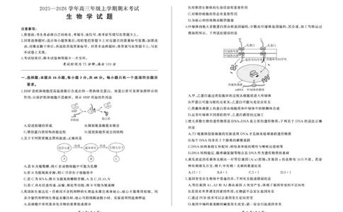 2025年甘肃省酒泉市高三上学期期末全市联考生物试卷(1)_2026年1月_260109百师联盟2025&mdash;2026学年高三年级上学期期末考试（全科）_百师联盟2025&mdash;2026学年高三年级上学期期末考试生物