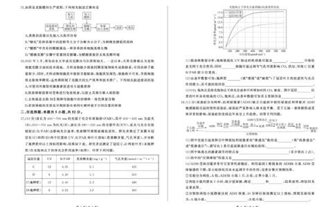 2025年甘肃省酒泉市高三上学期期末全市联考生物试卷(1)_2026年1月_260109百师联盟2025&mdash;2026学年高三年级上学期期末考试（全科）_百师联盟2025&mdash;2026学年高三年级上学期期末考试生物