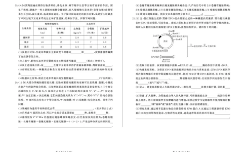 2025年甘肃省酒泉市高三上学期期末全市联考生物试卷(1)_2026年1月_260109百师联盟2025&mdash;2026学年高三年级上学期期末考试（全科）_百师联盟2025&mdash;2026学年高三年级上学期期末考试生物