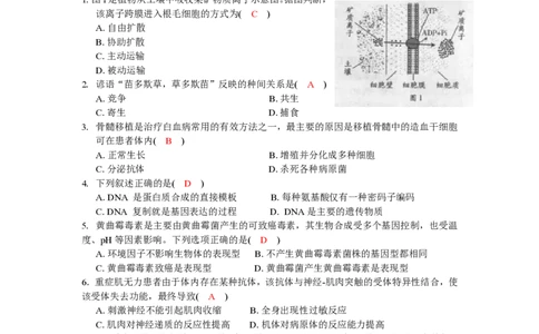 2010年高考生物试卷（广东）（解析卷）_生物历年高考真题_新&middot;PDF版2008-2025&middot;高考生物真题_生物（按省份分类）2008-2025_2008-2025&middot;（广东）生物高考真题