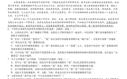 新课标Ⅰ语文-试题-p_近10年高考真题汇编（必刷）_2024年高考真题_高考真题（截止6.29）_新课标全国Ⅰ卷（语数英）