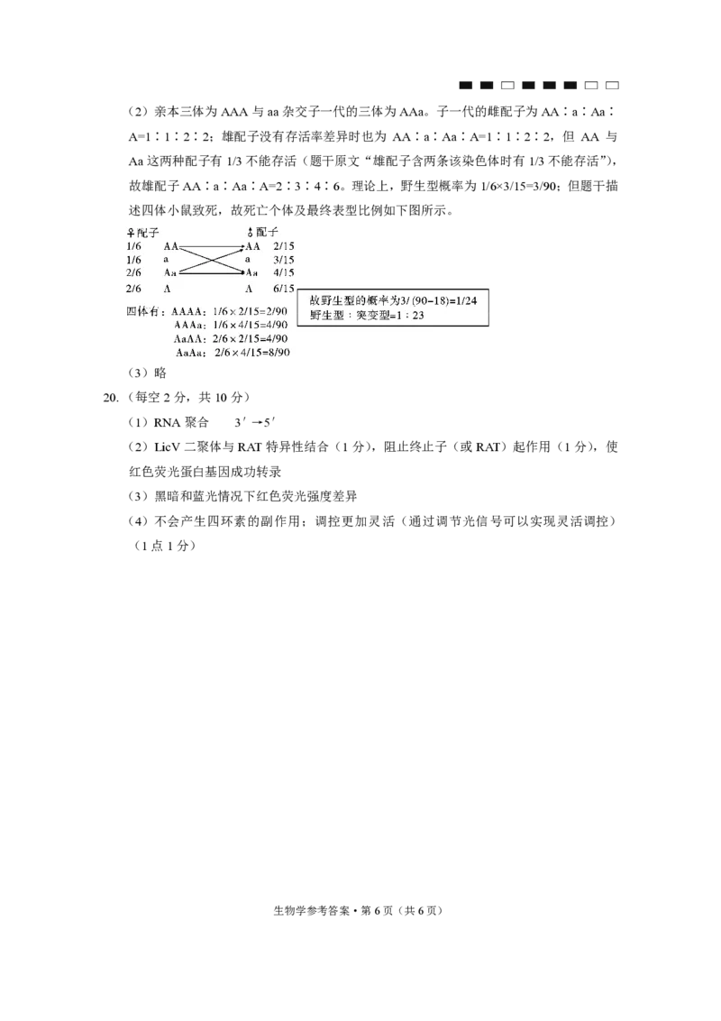 26八中5生物答案(1)_2026年1月_260117重庆市第八中学2026届高考适应性月考卷（五）（全科）_重庆市第八中学2026届高三1月高考适应性月考卷五（一诊）生物试题和答案