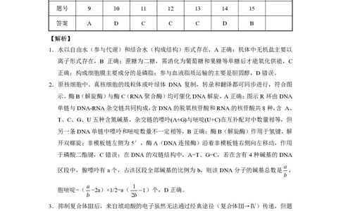26八中5生物答案(1)_2026年1月_260117重庆市第八中学2026届高考适应性月考卷（五）（全科）_重庆市第八中学2026届高三1月高考适应性月考卷五（一诊）生物试题和答案