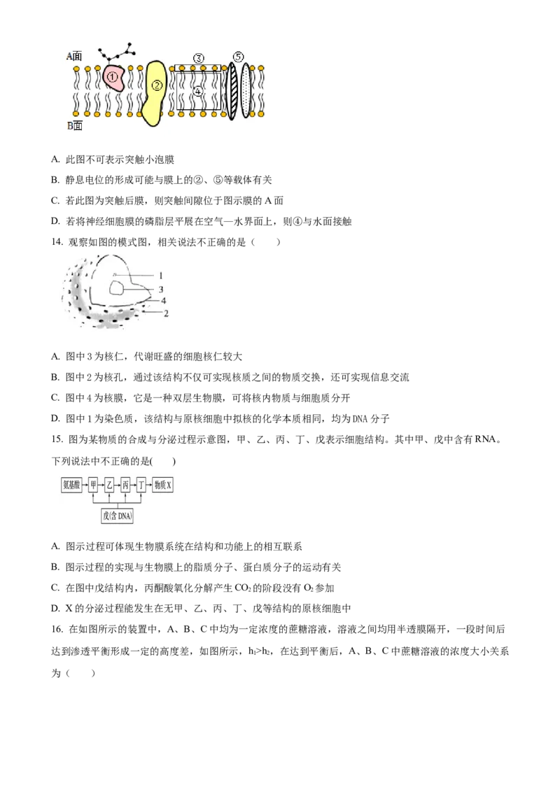 山西省大同市第一中学校2023-2024学年高三上学期10月月考生物试题Word版无答案(1)_2023年10月_0210月合集_2024届山西省大同市第一中学校高三上学期10月月考