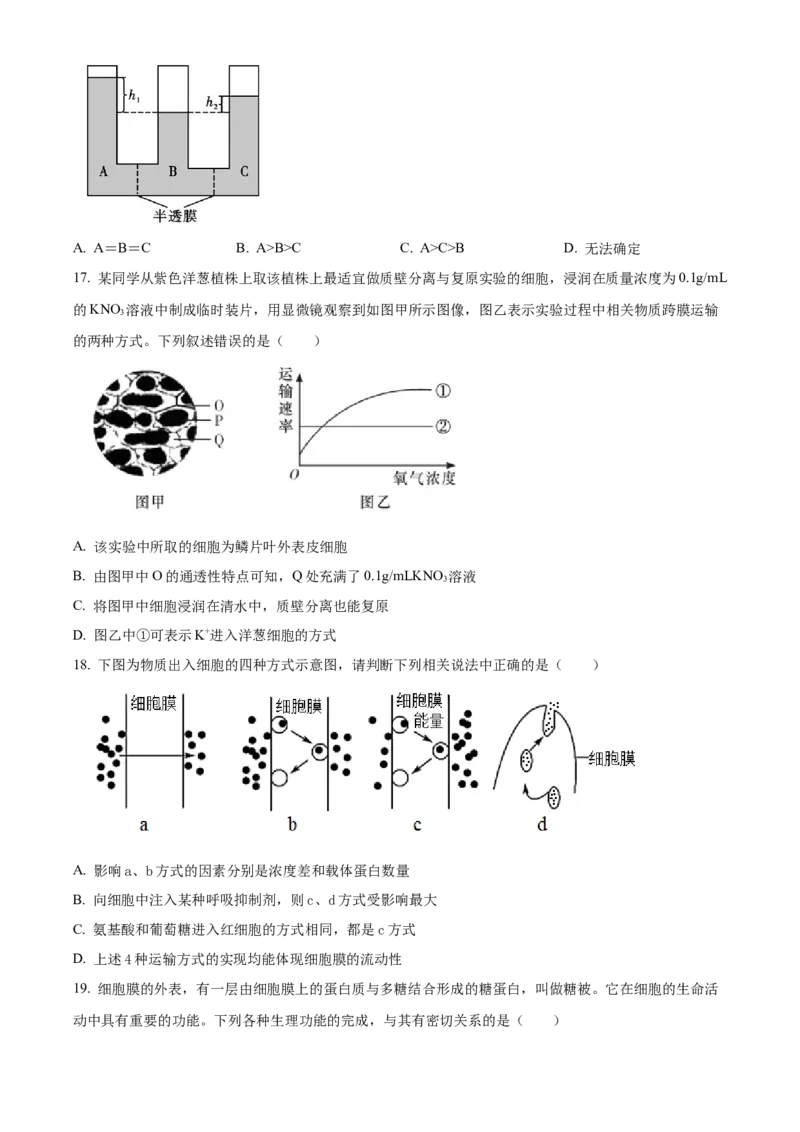 山西省大同市第一中学校2023-2024学年高三上学期10月月考生物试题Word版无答案(1)_2023年10月_0210月合集_2024届山西省大同市第一中学校高三上学期10月月考