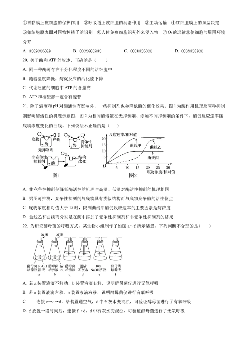 山西省大同市第一中学校2023-2024学年高三上学期10月月考生物试题Word版无答案(1)_2023年10月_0210月合集_2024届山西省大同市第一中学校高三上学期10月月考