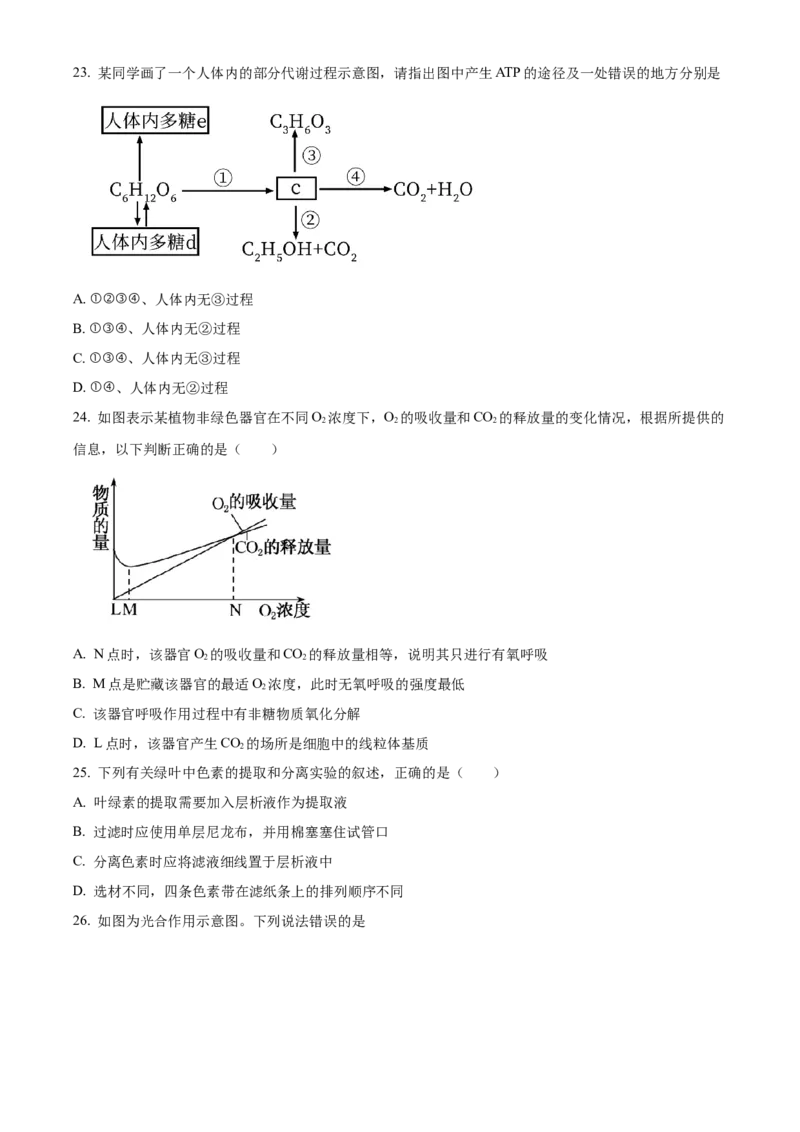 山西省大同市第一中学校2023-2024学年高三上学期10月月考生物试题Word版无答案(1)_2023年10月_0210月合集_2024届山西省大同市第一中学校高三上学期10月月考