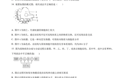 山西省大同市第一中学校2023-2024学年高三上学期10月月考生物试题Word版无答案(1)_2023年10月_0210月合集_2024届山西省大同市第一中学校高三上学期10月月考
