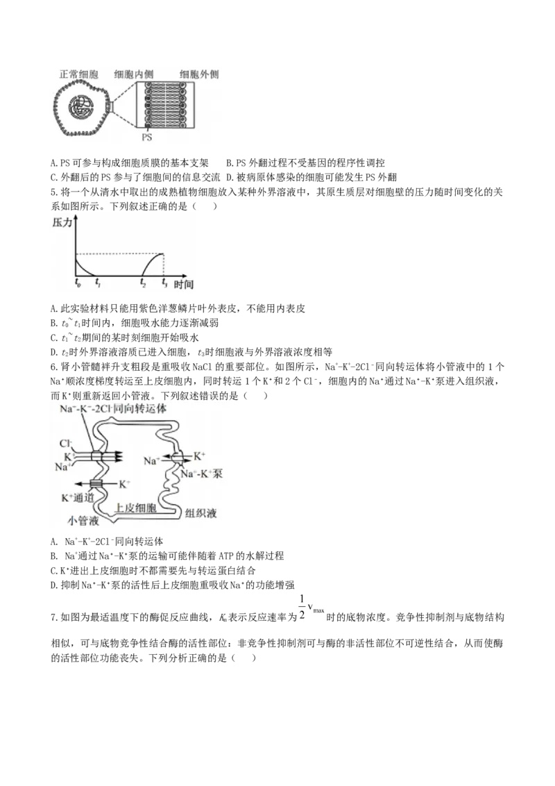 辽宁省实验中学2026届高三上学期10月第二次模拟生物试卷（含答案）_2025年10月_12026年试卷教辅资源等多个文件_251020辽宁省实验中学2026届高三上学期10月第二次模拟