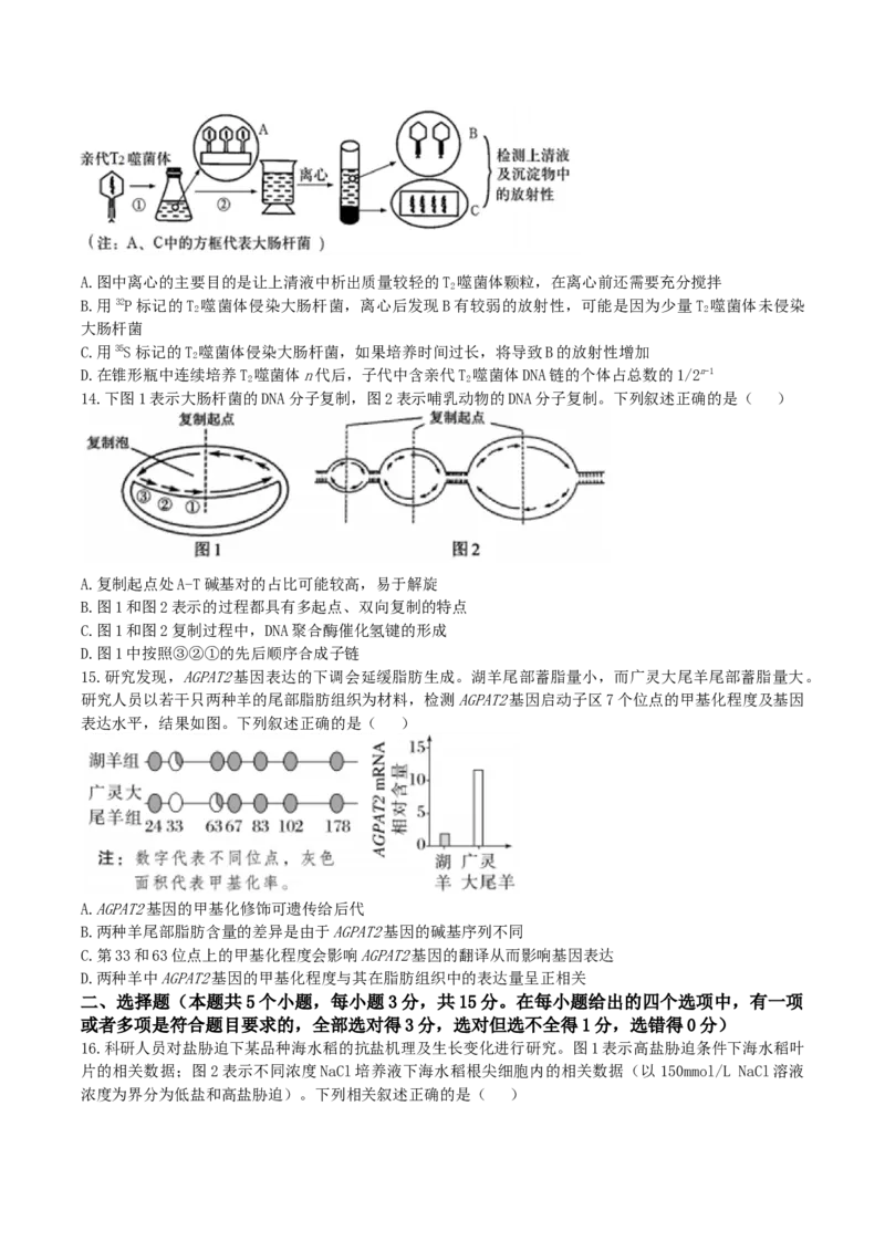 辽宁省实验中学2026届高三上学期10月第二次模拟生物试卷（含答案）_2025年10月_12026年试卷教辅资源等多个文件_251020辽宁省实验中学2026届高三上学期10月第二次模拟