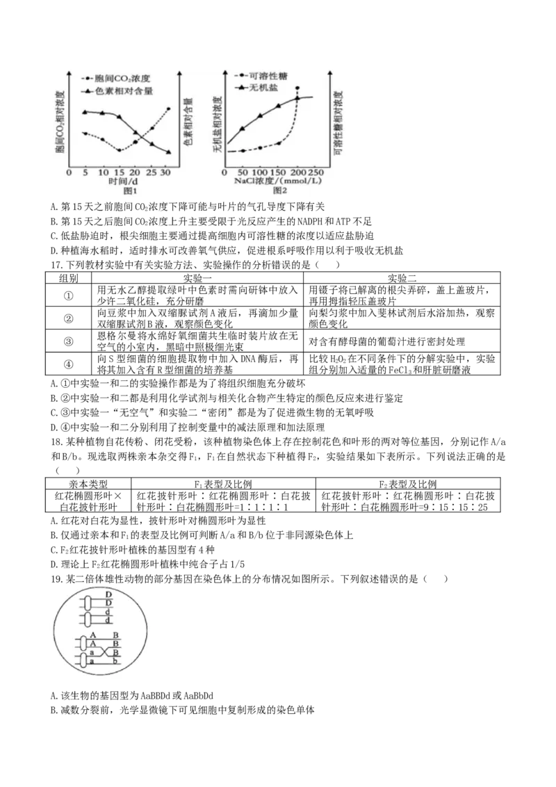 辽宁省实验中学2026届高三上学期10月第二次模拟生物试卷（含答案）_2025年10月_12026年试卷教辅资源等多个文件_251020辽宁省实验中学2026届高三上学期10月第二次模拟