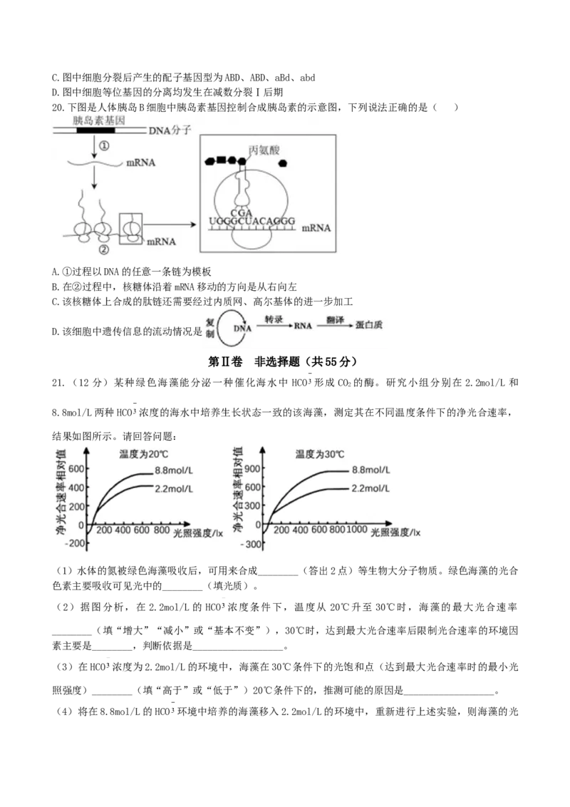 辽宁省实验中学2026届高三上学期10月第二次模拟生物试卷（含答案）_2025年10月_12026年试卷教辅资源等多个文件_251020辽宁省实验中学2026届高三上学期10月第二次模拟