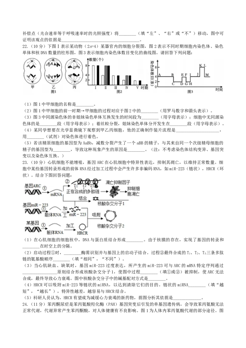 辽宁省实验中学2026届高三上学期10月第二次模拟生物试卷（含答案）_2025年10月_12026年试卷教辅资源等多个文件_251020辽宁省实验中学2026届高三上学期10月第二次模拟