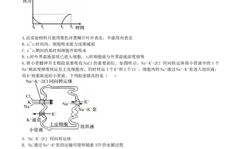 辽宁省实验中学2026届高三上学期10月第二次模拟生物试卷（含答案）_2025年10月_12026年试卷教辅资源等多个文件_251020辽宁省实验中学2026届高三上学期10月第二次模拟