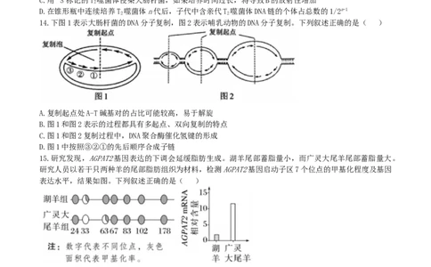 辽宁省实验中学2026届高三上学期10月第二次模拟生物试卷（含答案）_2025年10月_12026年试卷教辅资源等多个文件_251020辽宁省实验中学2026届高三上学期10月第二次模拟