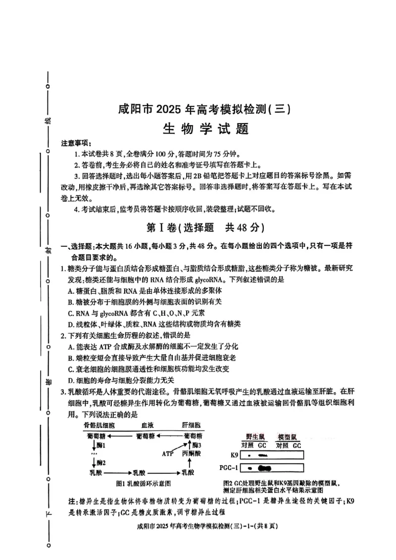 陕西省咸阳市2025届高三下学期高考模拟检测（三）生物试题（含答案）_2025年5月_0501陕西省咸阳市2025年高考模拟检测（三）（咸阳三模）（全科）