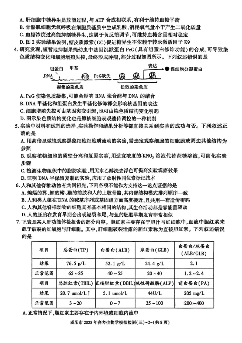 陕西省咸阳市2025届高三下学期高考模拟检测（三）生物试题（含答案）_2025年5月_0501陕西省咸阳市2025年高考模拟检测（三）（咸阳三模）（全科）