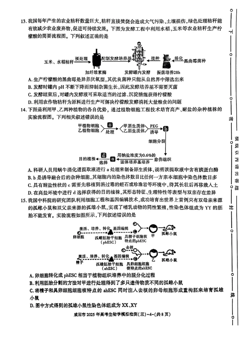 陕西省咸阳市2025届高三下学期高考模拟检测（三）生物试题（含答案）_2025年5月_0501陕西省咸阳市2025年高考模拟检测（三）（咸阳三模）（全科）
