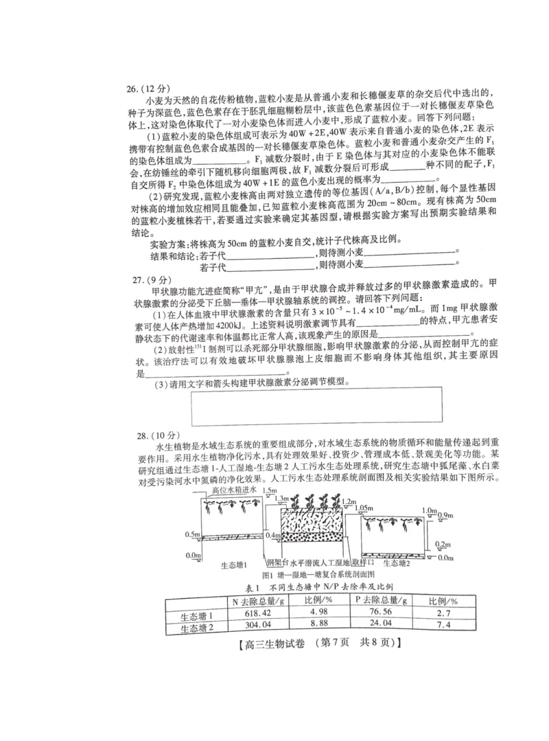 2022-2023学年高三年级TOP二十名校九月摸底考试生物_2023年8月_01每日更新_2号_2023届河南省六市TOP二十名校高三上学期9月摸底考试