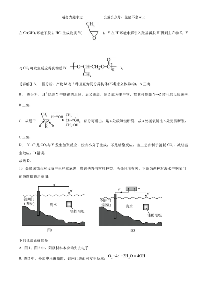 精品解析：2024年6月高考真题浙江卷化学试题（解析版）_高考真题全网收集_化学_2024年新高考6月浙江化学高考真题解析（参考版）
