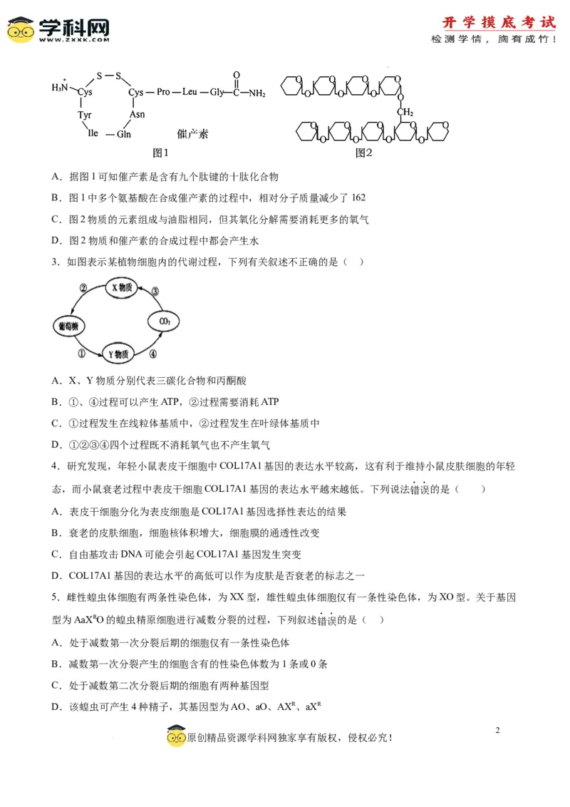 生物（辽宁卷）（考试版）_2024届新高三开学摸底考试卷_生物-2024届新高三开学摸底考试卷_生物-2024届新高三开学摸底考试卷（辽宁卷）