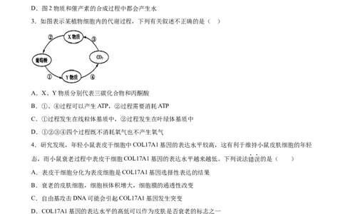 生物（辽宁卷）（考试版）_2024届新高三开学摸底考试卷_生物-2024届新高三开学摸底考试卷_生物-2024届新高三开学摸底考试卷（辽宁卷）