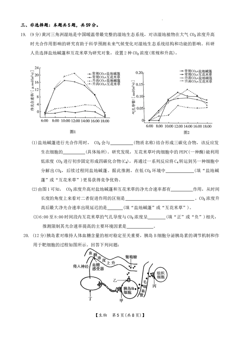 生物(1)_2026年1月_260120河北省邢台市琢名小渔2025-2026学年高三上学期1月月考（全科）_河北省邢台市琢名小渔2025-2026学年高三上学期1月月考生物试题含答案