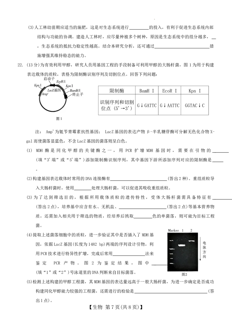 生物(1)_2026年1月_260120河北省邢台市琢名小渔2025-2026学年高三上学期1月月考（全科）_河北省邢台市琢名小渔2025-2026学年高三上学期1月月考生物试题含答案
