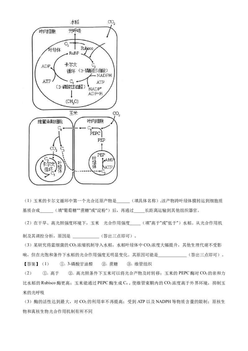 山东省德州市禹城市综合高中2023-2024学年高三10月月考考生物试题word版含解析(1)_2023年10月_0210月合集_2024届山东省德州市禹城市综合高中高三10月月考