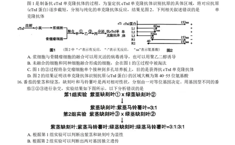 陕西省宝鸡市2026年高三高考模拟检测试题（一）生物试卷（含答案）(1)_2026年1月_260112陕西省宝鸡市2026年高三高考模拟检测试题（一）