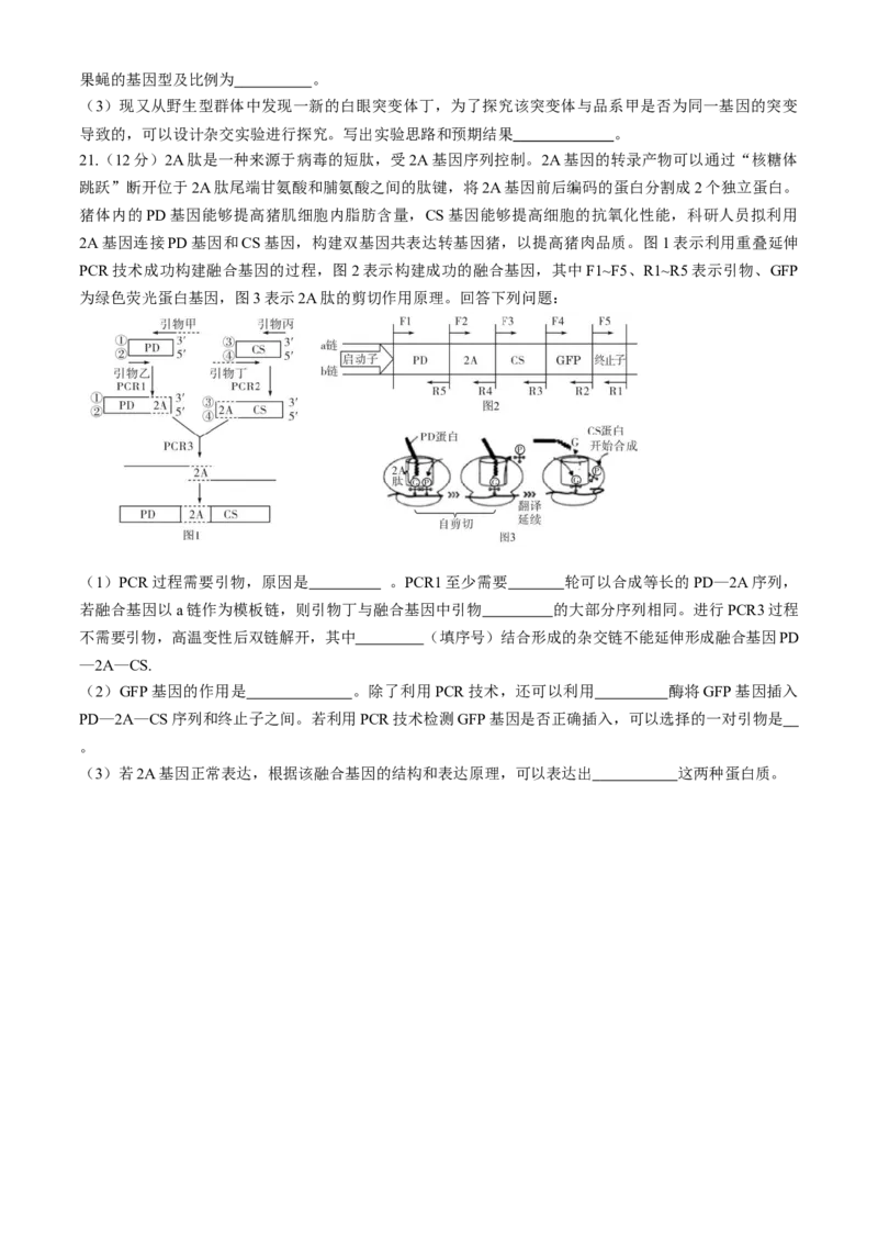 广东省名校教研联盟2023-2024学年高三下学期5月押题考试生物Word版含解析(1)_2024年6月(1)_026月合集_2024名校教研联盟高三下学期5月押题考试(新高考卷)